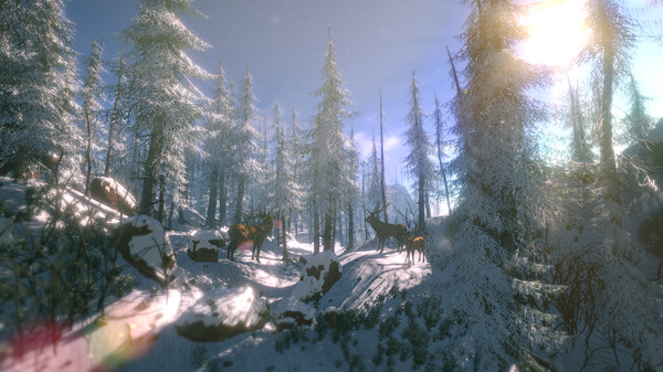 FlowScape gameplay screenshot