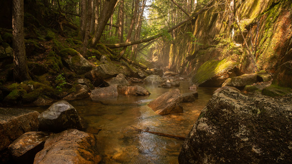 Get Lost In Nature With Luke gameplay screenshot