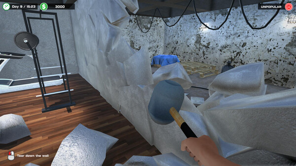 Gym Manager gameplay screenshot