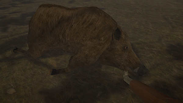 Hog Hunter 2021 gameplay screenshot