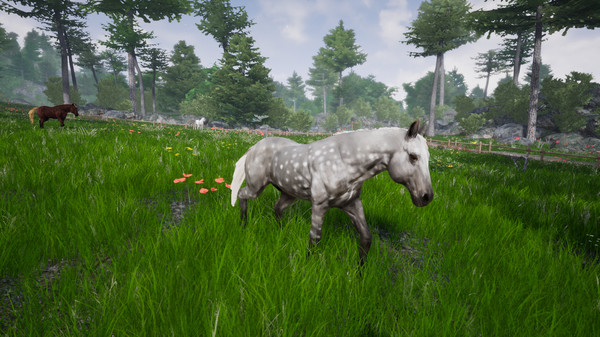 Horse Riding Deluxe 2 gameplay screenshot