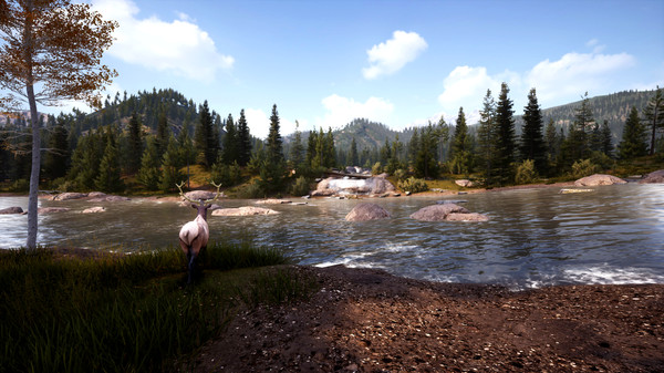 Hunting Simulator 2 gameplay screenshot