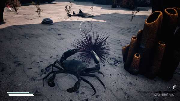 Infinite Blue gameplay screenshot