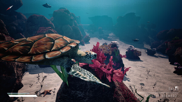 Infinite Blue gameplay screenshot