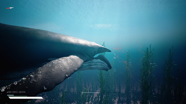 Infinite Blue gameplay screenshot
