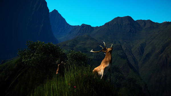 Ka Mate gameplay screenshot