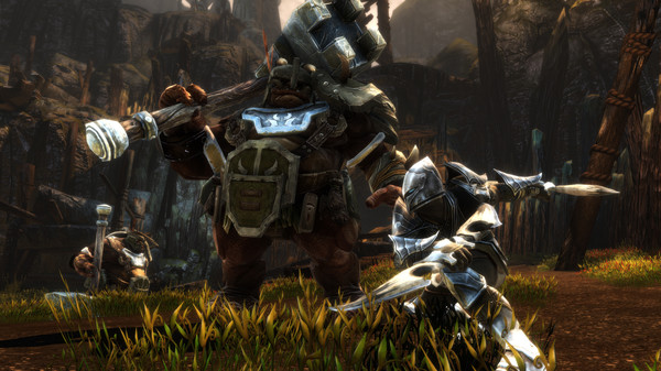 Kingdoms of Amalur: Re-Reckoning gameplay screenshot