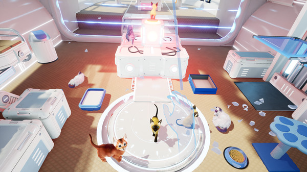 Kitten'd gameplay screenshot