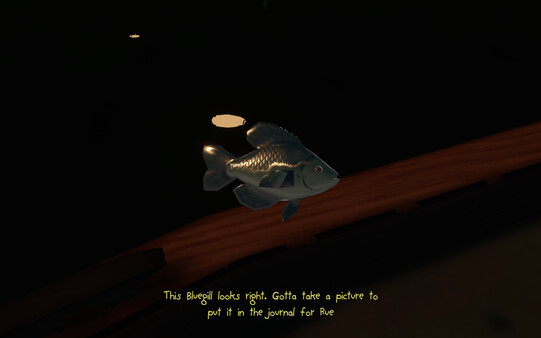 Lake Minnewaska gameplay screenshot
