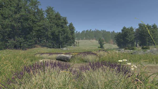 Lavender gameplay screenshot