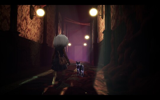 LIGHT: Black Cat & Amnesia Girl gameplay screenshot