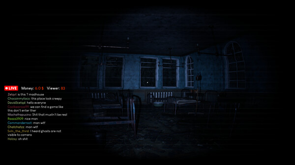 Madhouse Madness: Streamer's Fate gameplay screenshot