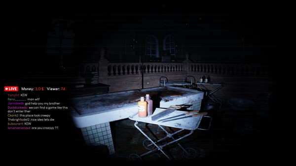 Madhouse Madness: Streamer's Fate gameplay screenshot