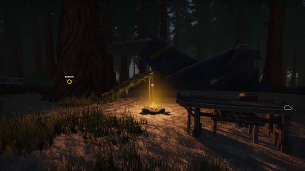Missing Plane: Survival gameplay screenshot