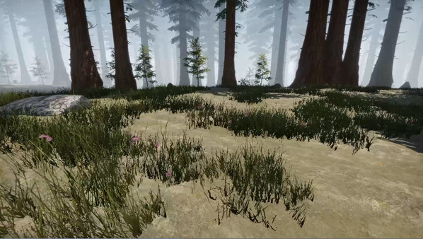 Missing Plane: Survival gameplay screenshot