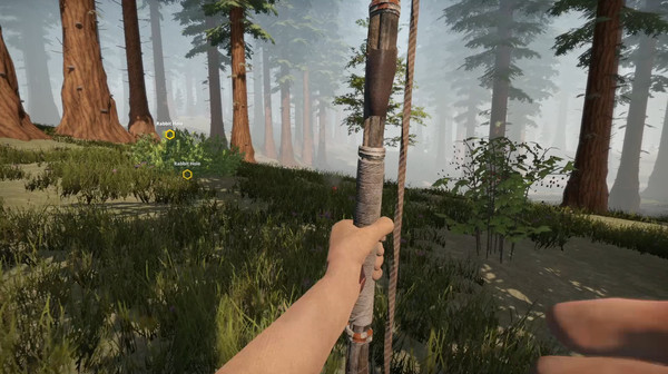 Missing Plane: Survival gameplay screenshot
