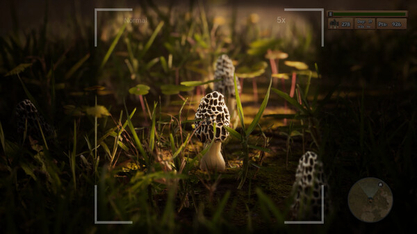 Morels: The Hunt gameplay screenshot