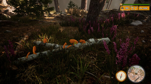 Morels: The Hunt 2 gameplay screenshot