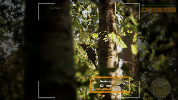 Morels: The Hunt 2 gameplay screenshot