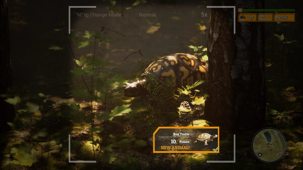 Morels: The Hunt 2 gameplay screenshot