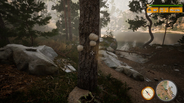 Morels: The Hunt 2 gameplay screenshot