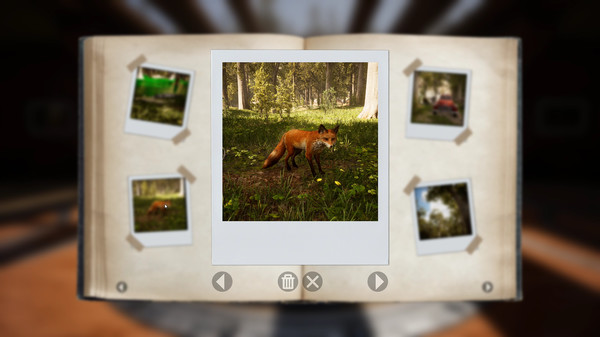Morels: The Hunt gameplay screenshot