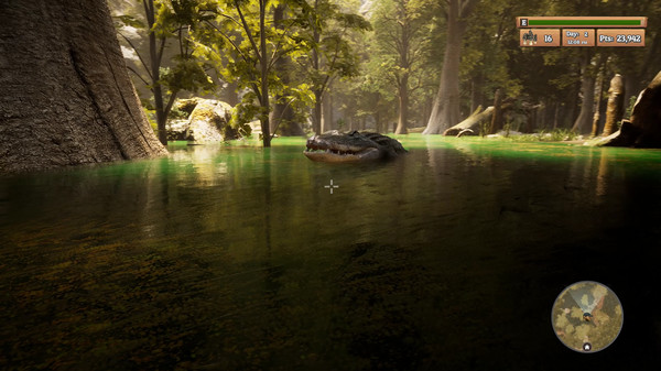Morels: The Hunt gameplay screenshot