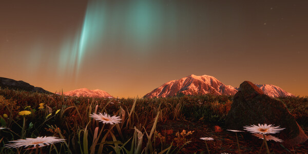 My Horse: Bonded Spirits - Prologue gameplay screenshot