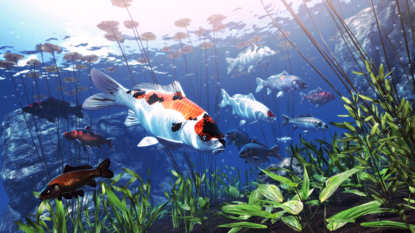 My Koi gameplay screenshot