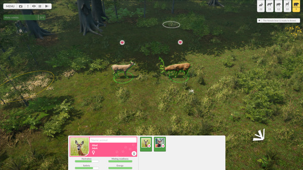 Natural Instincts: European Forest gameplay screenshot