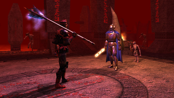 Neverwinter Nights: Enhanced Edition gameplay screenshot