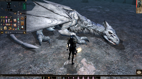 Neverwinter Nights: Enhanced Edition gameplay screenshot
