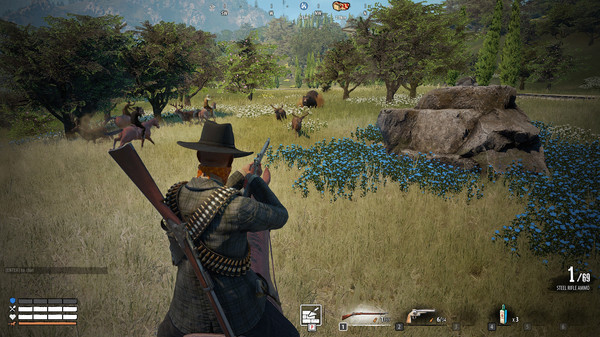 New Frontier gameplay screenshot