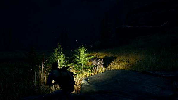 Open Country gameplay screenshot