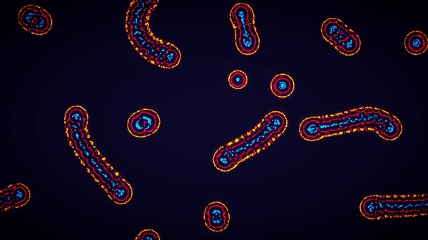 Parametric Creature: Lab gameplay screenshot