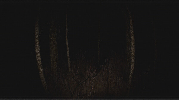 Paranormal VHS gameplay screenshot