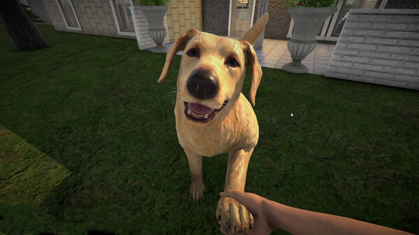 Pets Hotel: Prologue gameplay screenshot