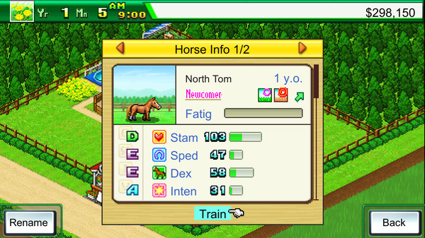 Pocket Stables gameplay screenshot