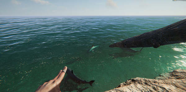 Project Castaway gameplay screenshot