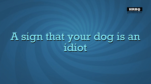Quiplash 2 InterLASHional gameplay screenshot