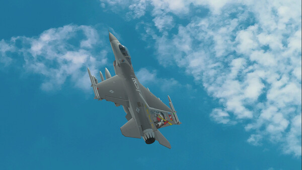 RealFlight Evolution gameplay screenshot