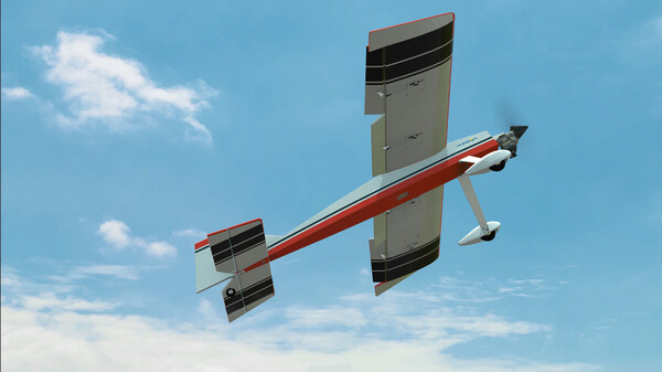 RealFlight Evolution gameplay screenshot