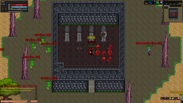 Rebornia - MMORPG 2D gameplay screenshot