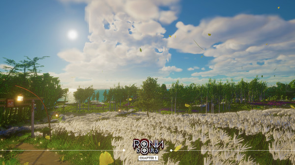 RONIN: Two Souls CHAPTER 1 gameplay screenshot