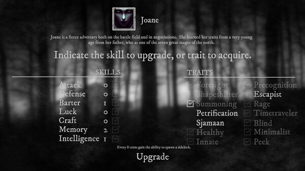 Runes of Aereal gameplay screenshot