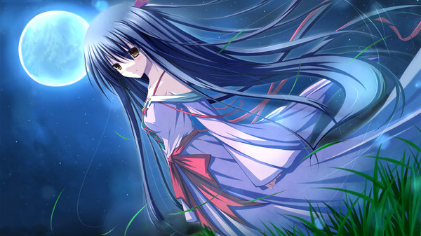 雾之本境S Conspiracy Field: Fog Shadow gameplay screenshot