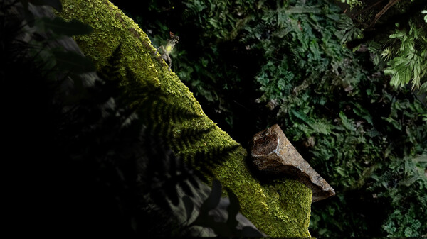 Seedlings gameplay screenshot