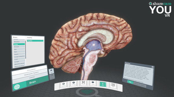 Sharecare YOU VR gameplay screenshot