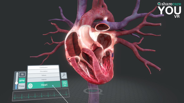 Sharecare YOU VR gameplay screenshot