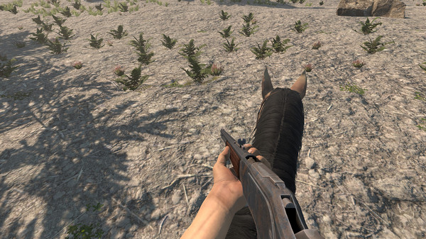 Sierra Madre: The Wild West gameplay screenshot